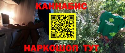 стафф Будённовск