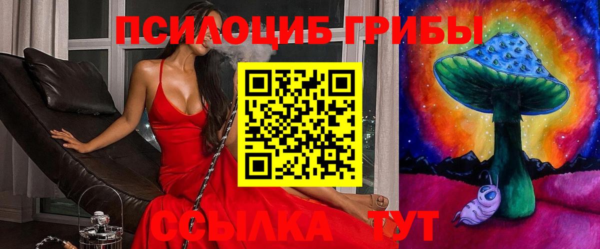 Карабулак  Галлюциногенные грибы Magic Shrooms  как найти наркотики  Псилоцибиновые грибы Psilocybine cubensis  Вход с VPN 